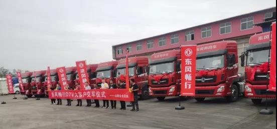 ed_1638929922287306.jpg 6.jpg